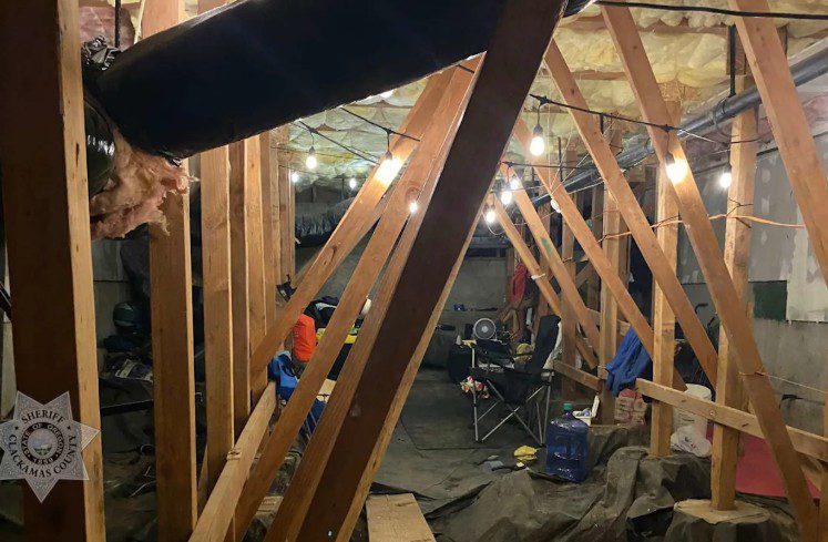 離奇！屋主聽聞地板下有怪聲，警方竟在狹小的crawl space發現了……