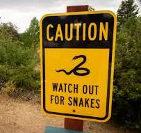 因救人用抗蛇毒血清，肯塔基急救員面臨吊銷執照風險