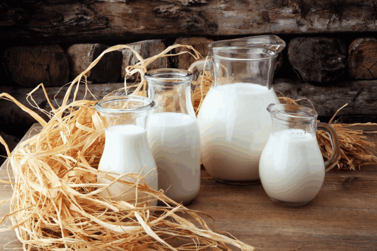 全脂牛奶是敵是友？一場圍繞牛奶的科學辯論正在激烈上演