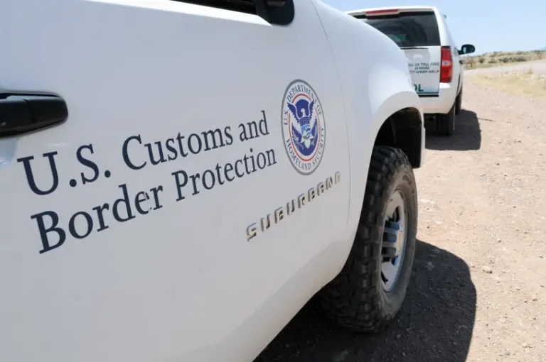 女子下車怒罵ICE探員，回頭一看自己愛車已滑入湖中 | 有片