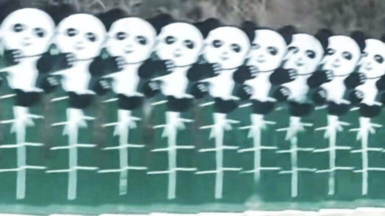 四川高速熊貓防眩板嚇壞網友：夜間睇似足骷髏！