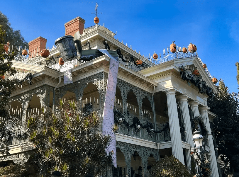 迪士尼樂園發生遊客死亡事件！6旬婦女乘坐後不適送醫不治