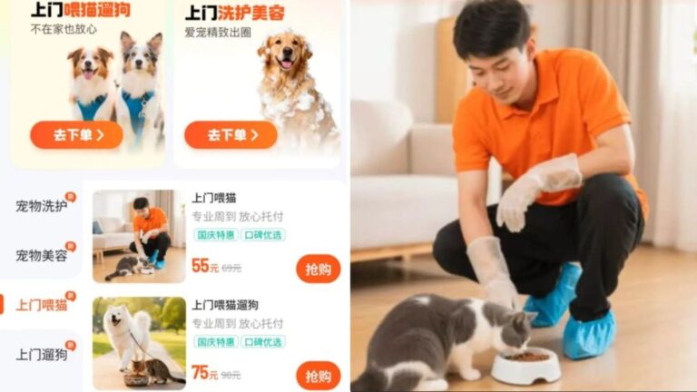 滴滴出行新搞作！進軍寵物市場，餵食散步服務幾十蚊有交易