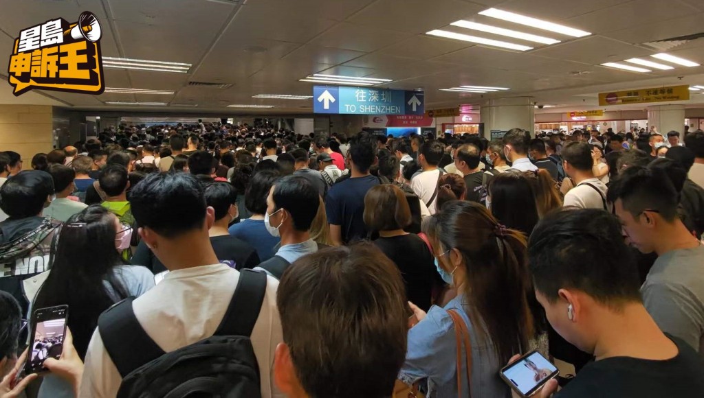 星島申訴王 | 放蛇直擊深圳寵物店走私毛孩 公開運送過程標榜2小時到香港