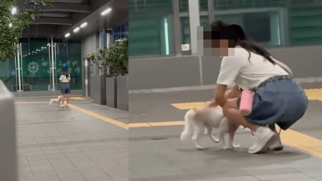 旺角道天橋驚現虐狗事件，女子當眾施暴被捕