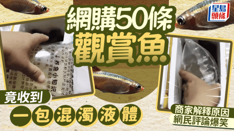 網購觀賞魚變「魚湯」？遼寧苦主：兇手竟是呢樣嘢！