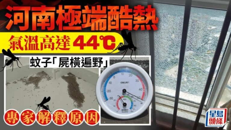 極端天氣｜河南最高 44.4℃「蚊都熱死」專家咁解釋