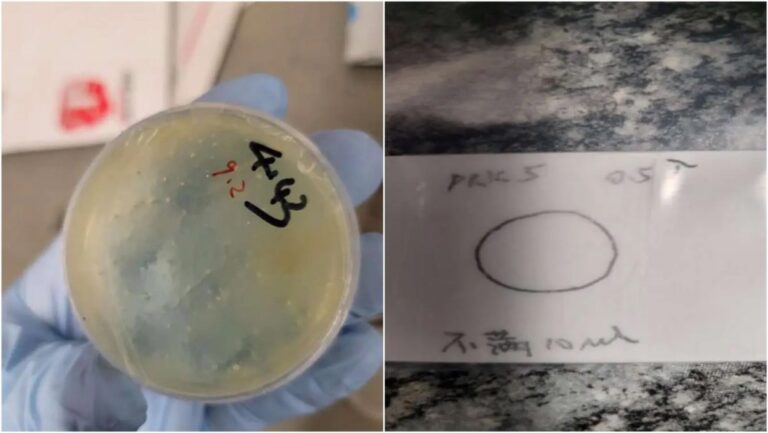 中國博士生涉嫌在美走私生物材料，另有三名學者被控