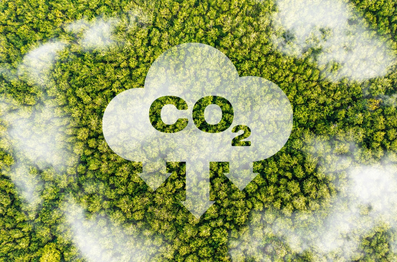 尼泊爾護林減碳獲巨款，世界銀行940萬美元獎勵藏何玄機？