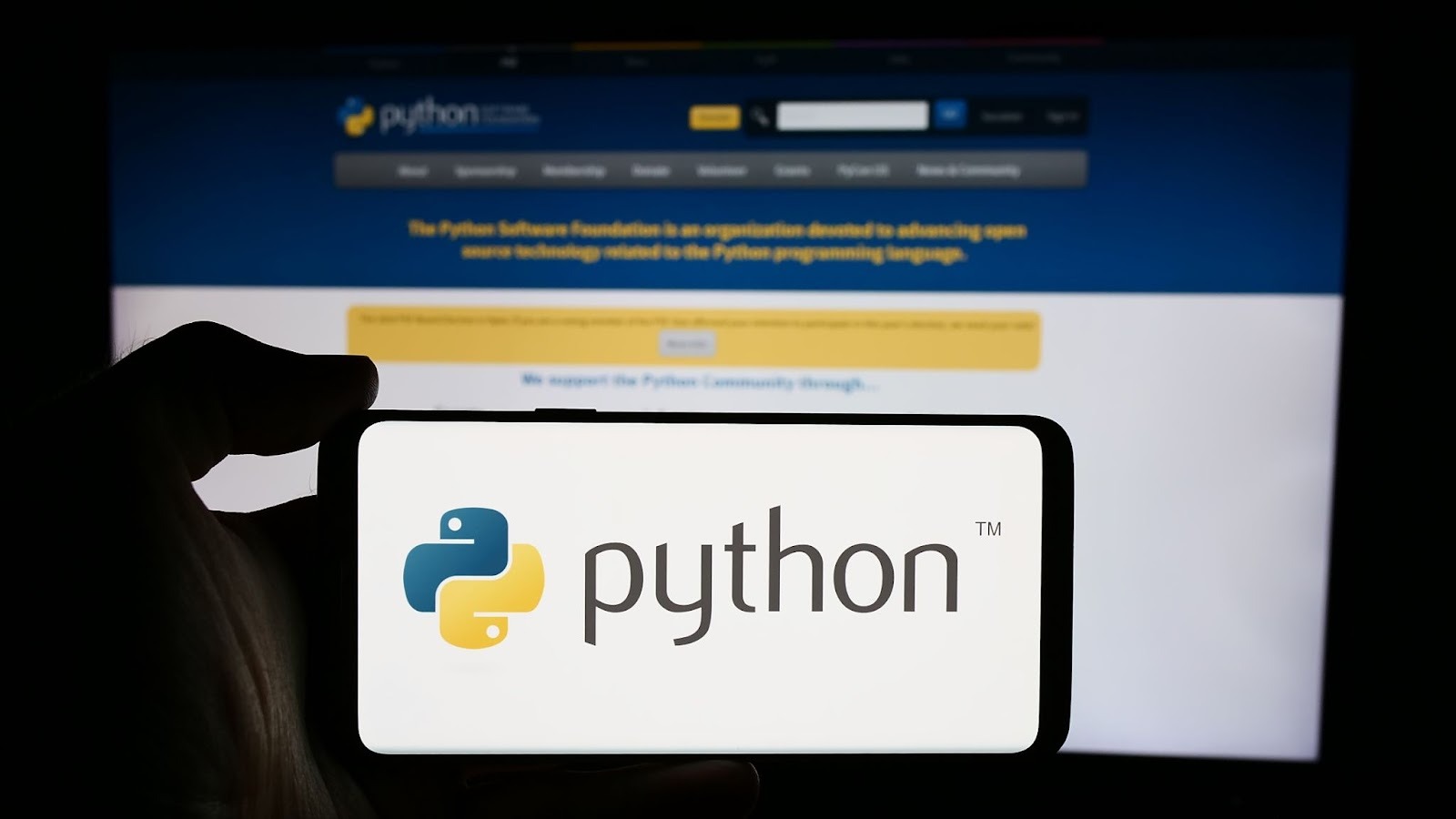 Python基金會陷兩難：堅守DEI原則或接受百萬資助？